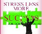 Stress Less More success logo image for High Achievers